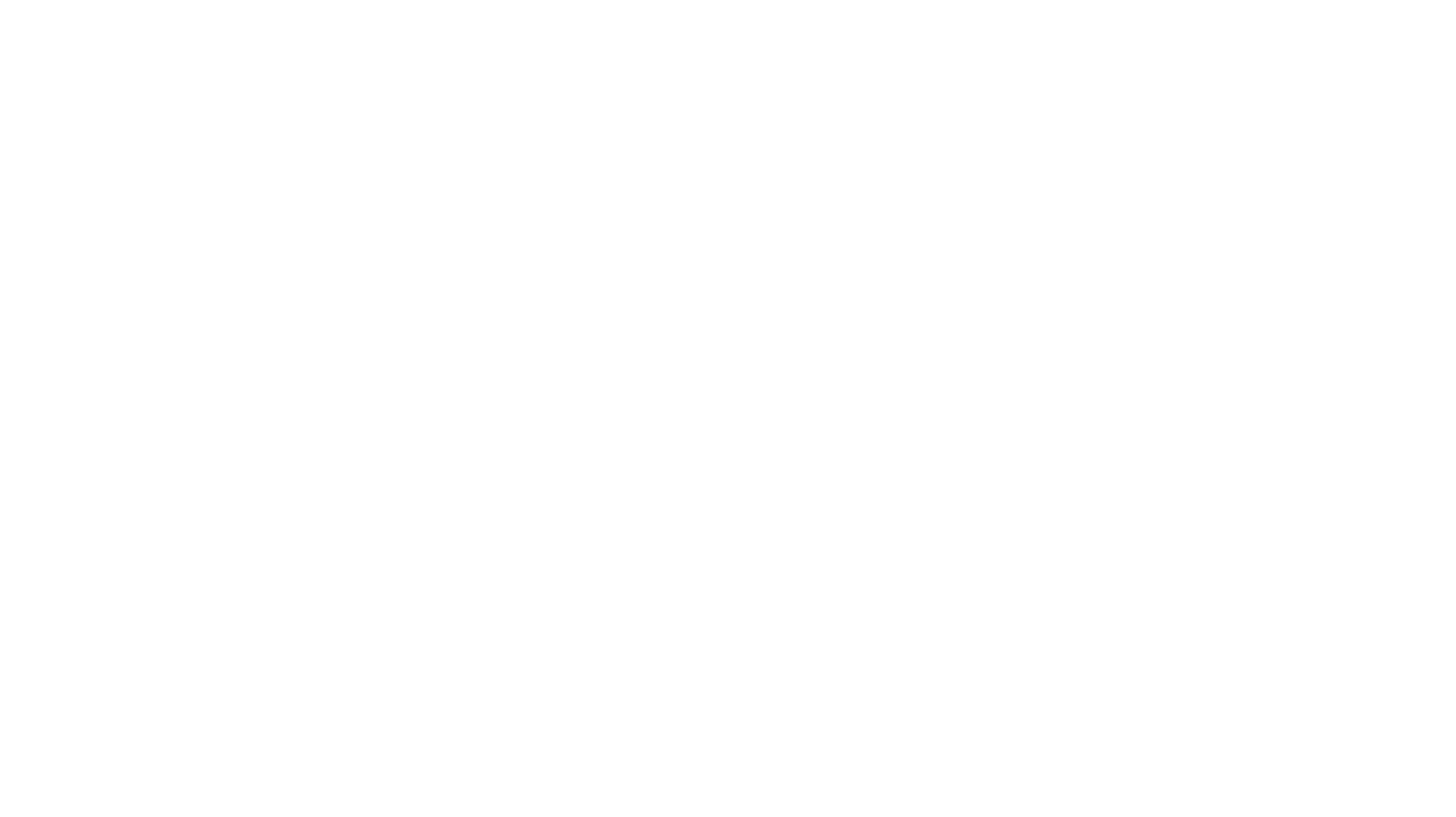 PAYLK Logo-04